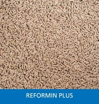 Kachelnavi reformin plus startseite